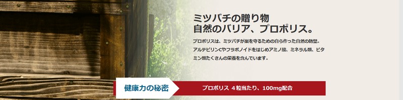 �~�c�o�`�̌b�� �Ƃ����T�C�g